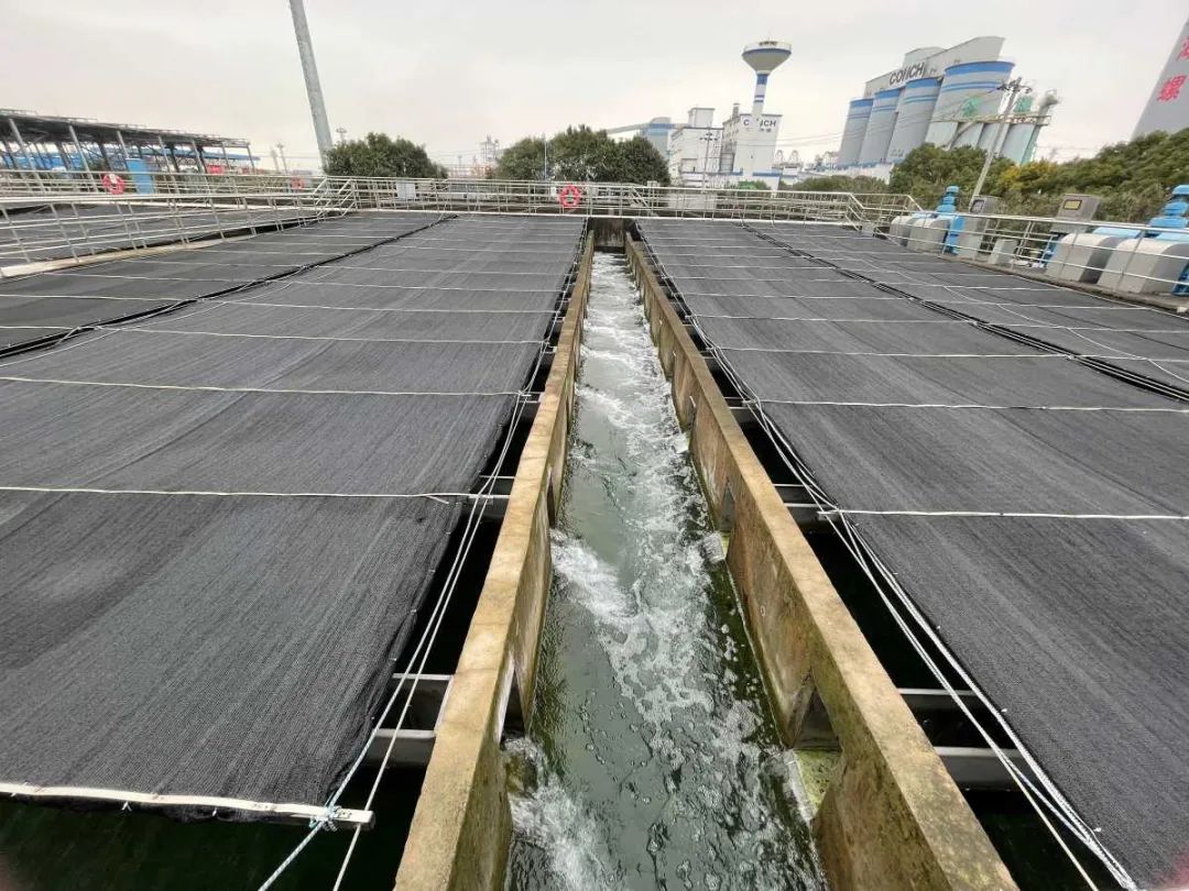 寧波實施五大工程，打造全國污水處理標桿
